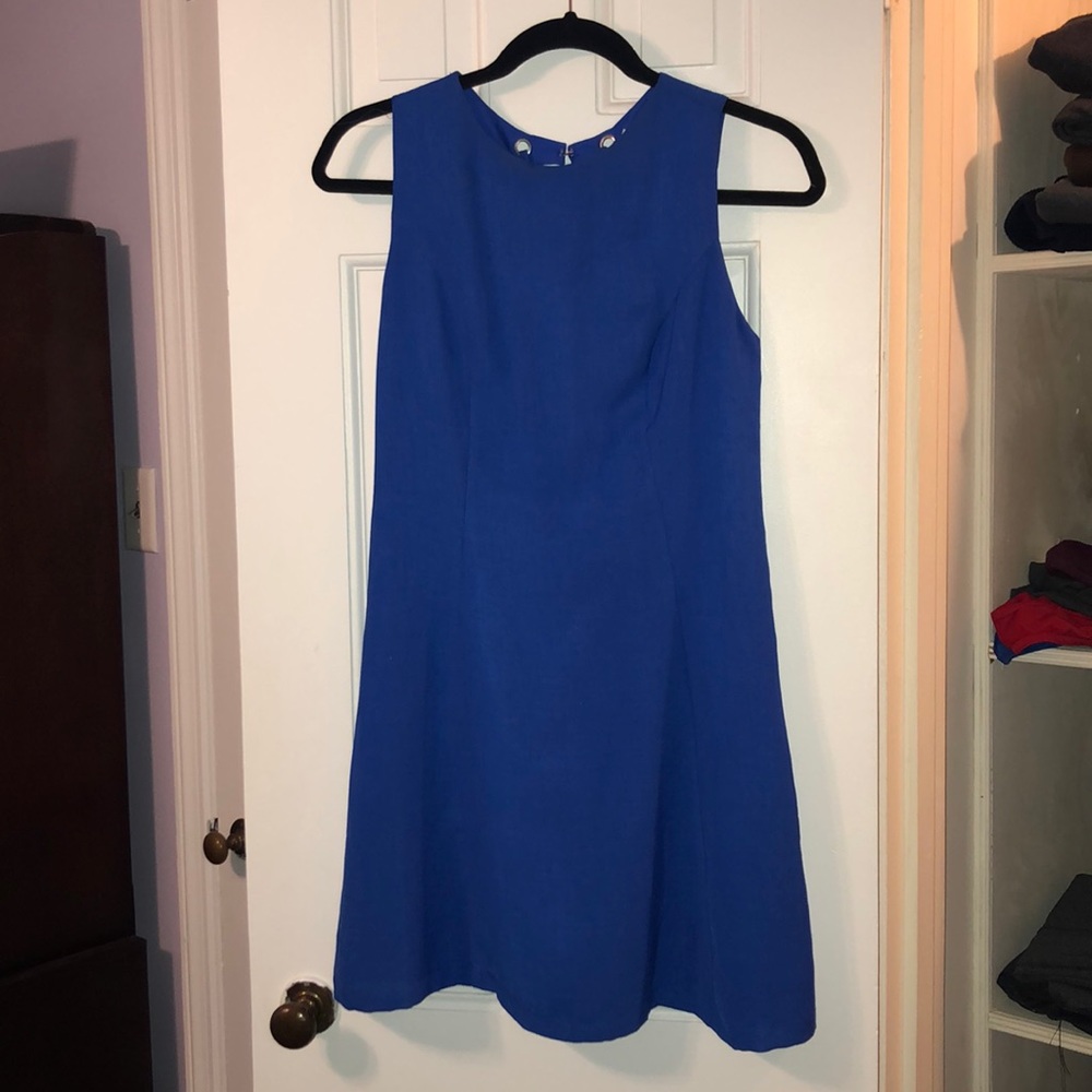 Naked zebra royal blue dress